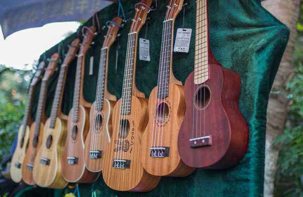 �����ȿ������ѧ